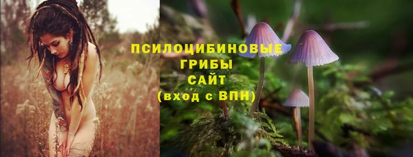 PSILOCYBIN Нефтекумск