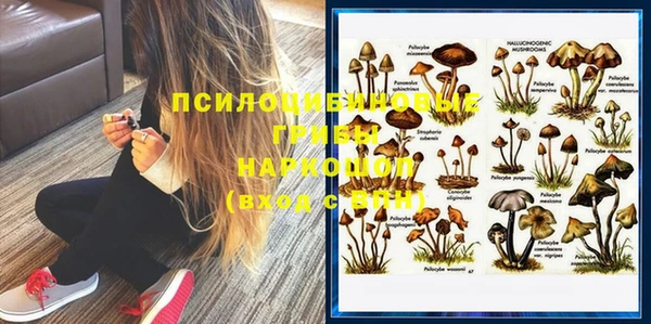 хмурый Нея
