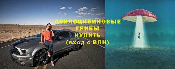 хмурый Нея