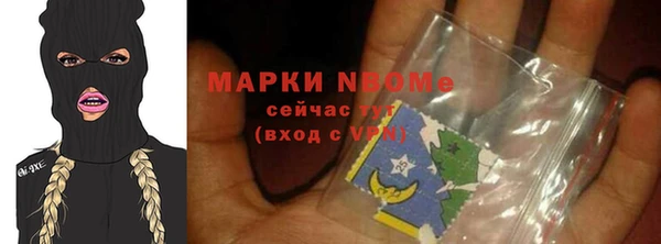 хмурый Нея
