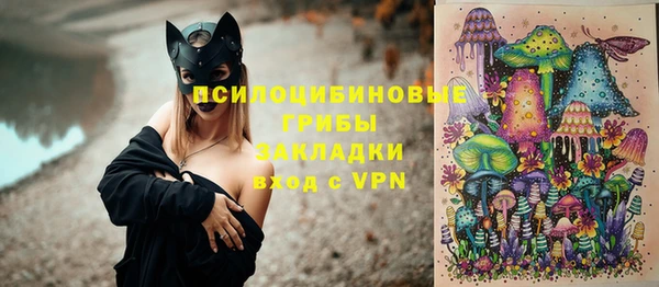 PSILOCYBIN Нефтекумск