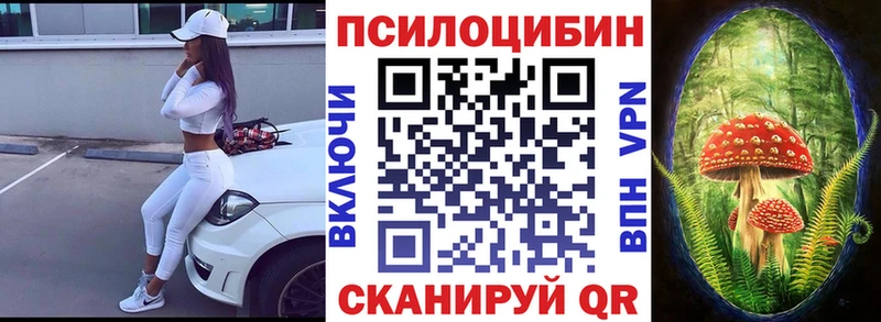 Псилоцибиновые грибы MAGIC MUSHROOMS  Купить  Суздаль 